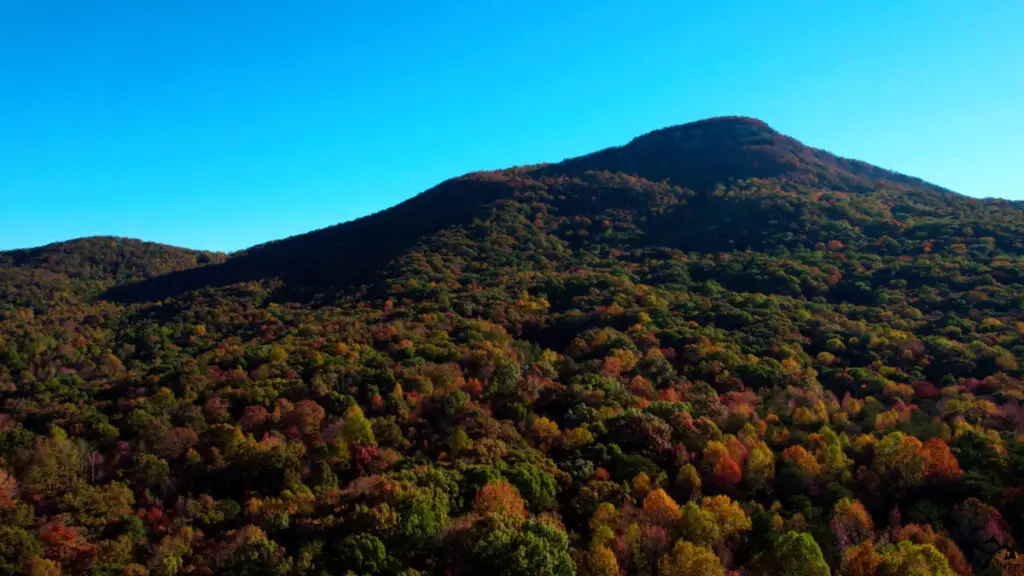 Georgia Hikes in Autumn

Yonah Mountain in Fall Autumn