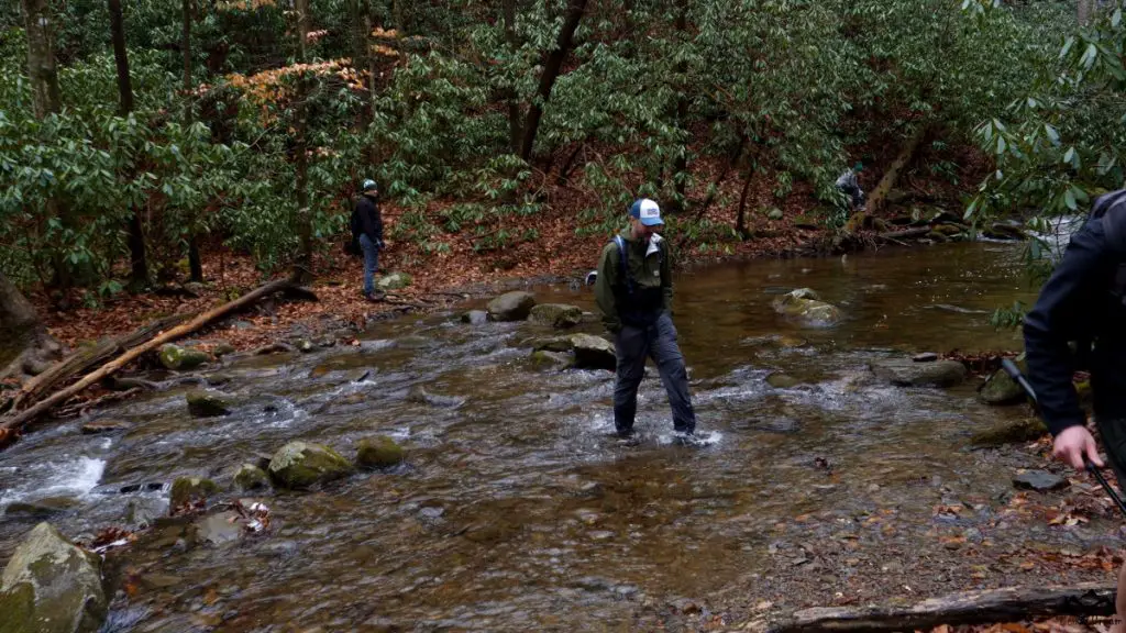 Emery Creek
